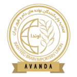 Avanda.png